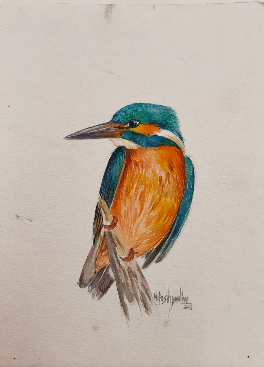 Advance Drawing Course