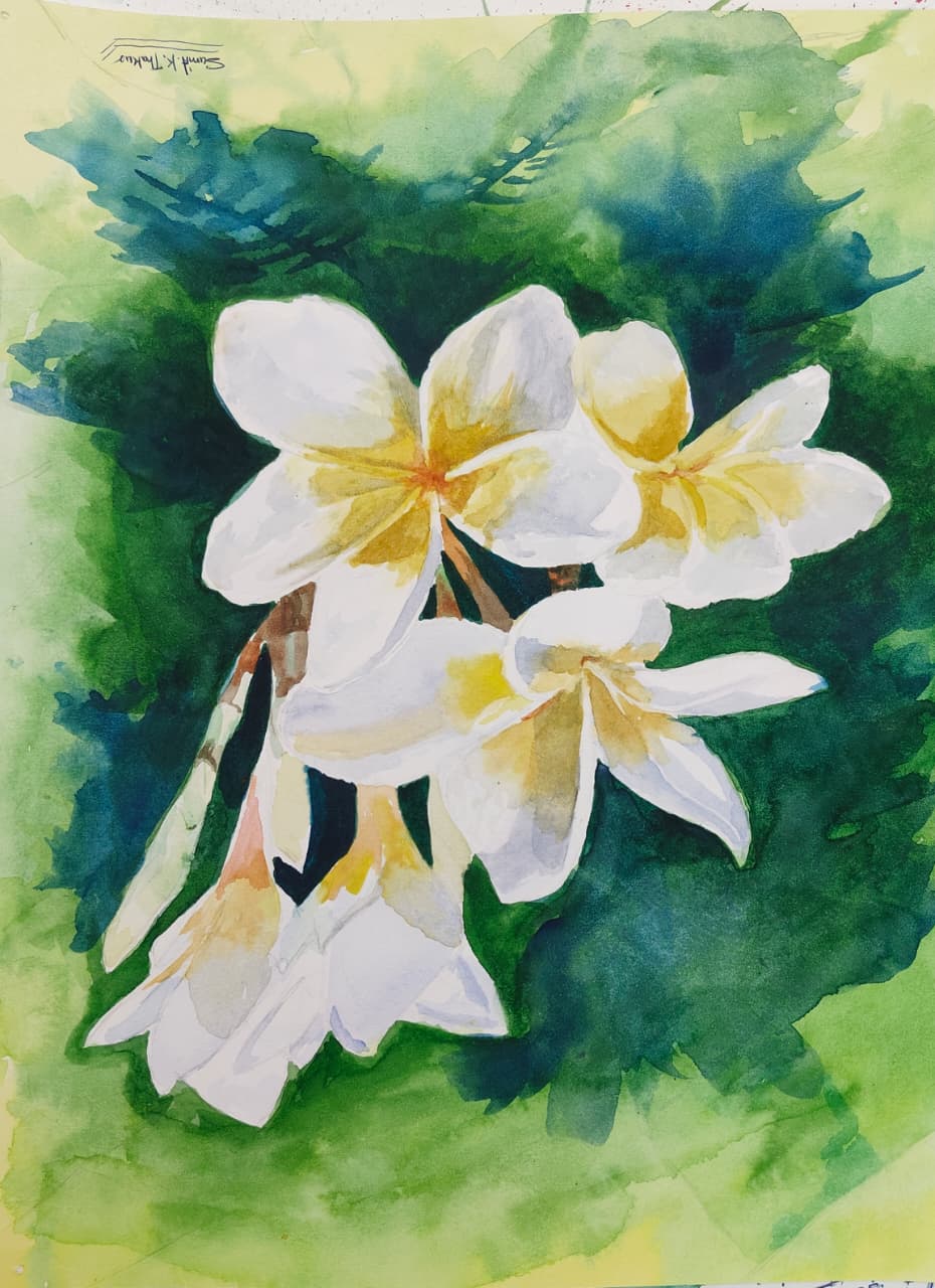 Advance Drawing Course