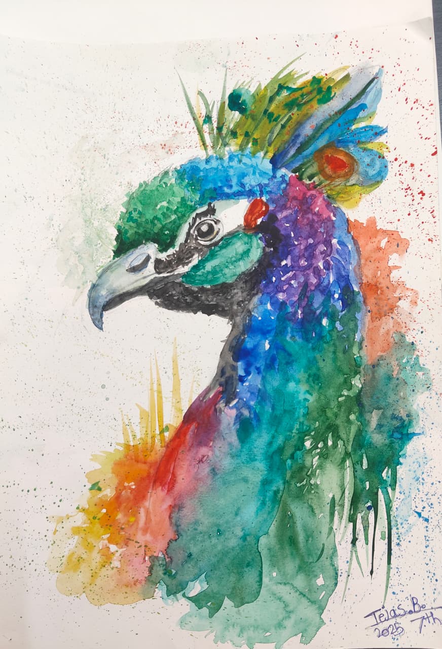 Advance Drawing Course