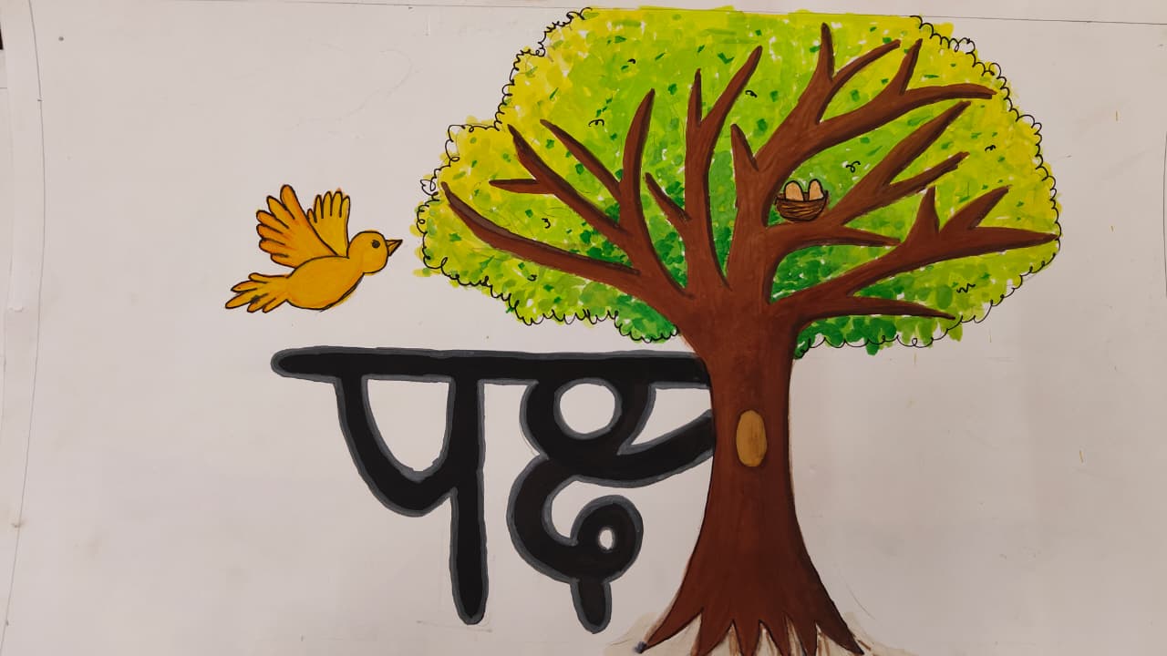 Elementary & Intermediate Grade Exams